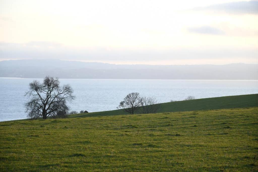 Whitehead Holiday Cottage Exterior foto